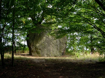 Riesenstein Wolfeshausen
