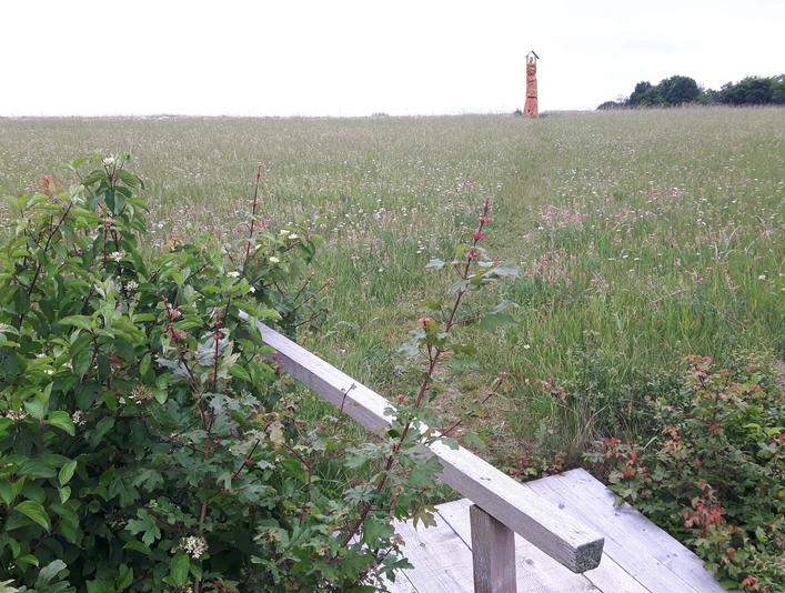 Frau Holles Blumenwiese Ulfen