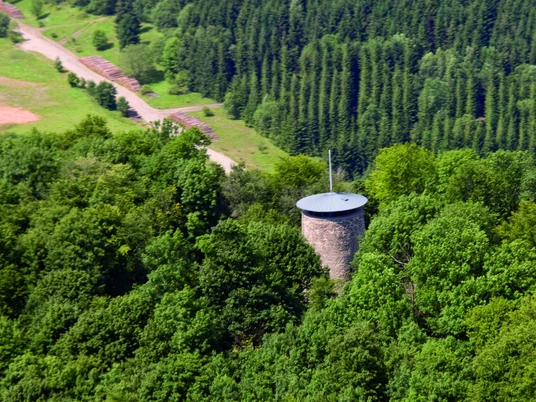 ruine-reichenbach-001