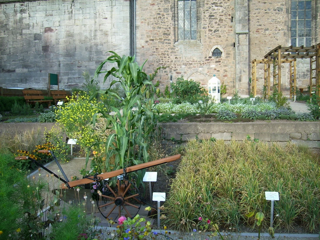 Bibelgarten Bad S-A(C)Andreas Holzhauer