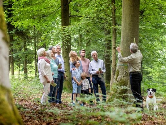 Führung im Friedwald