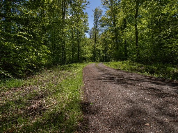 Wanderweg Prinzessinengarten-min