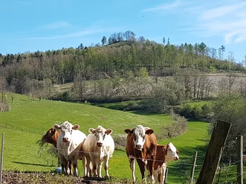 Blick von Ibra zur Ibrakuppe