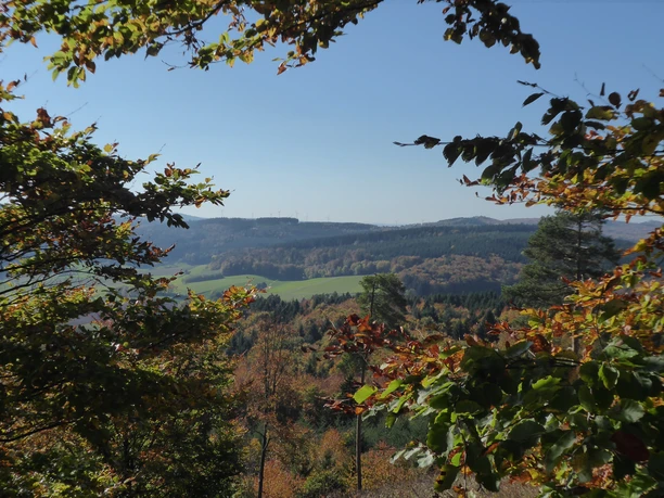 Herbst auf der Ibrakuppe