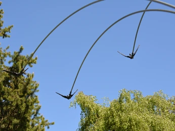 Skulpturen Parkhotel zum Stern Oberaula