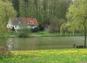 Stauweiher Olberode