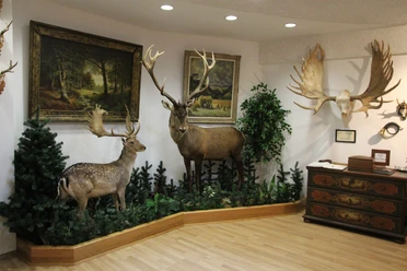 Haus der Begegnung Jagd-Natur-Kunst