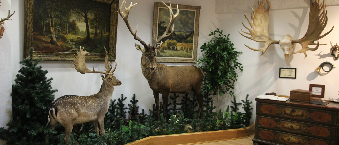 Haus der Begegnung Jagd-Natur-Kunst