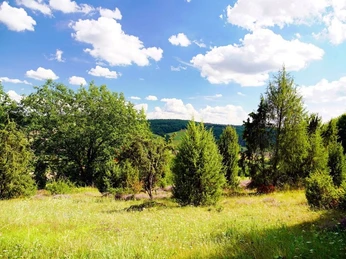 Vocker der Heide HJG27