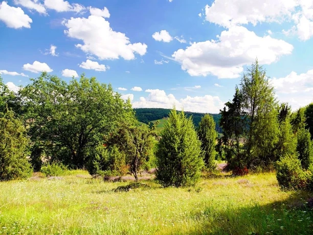 Vocker der Heide HJG27