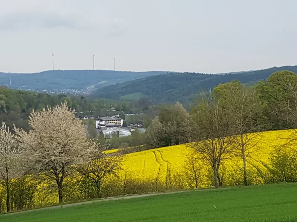 Blick zum Seepark Kirchheim