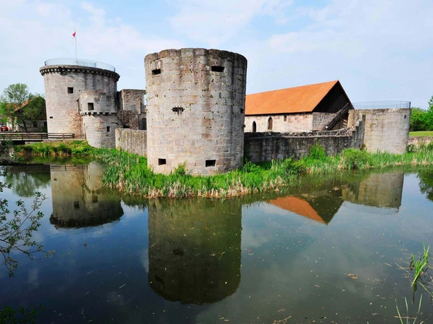 Friedewald_Wasserburgruine_1