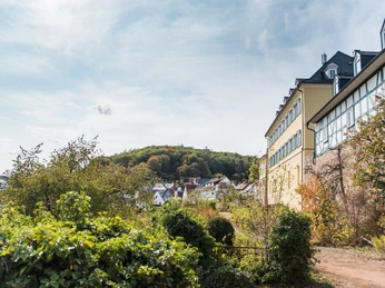 Neuburg Battenberg (Eder)