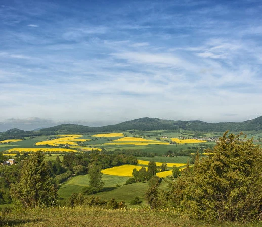 Dörnberg Blick von Wacholderheide