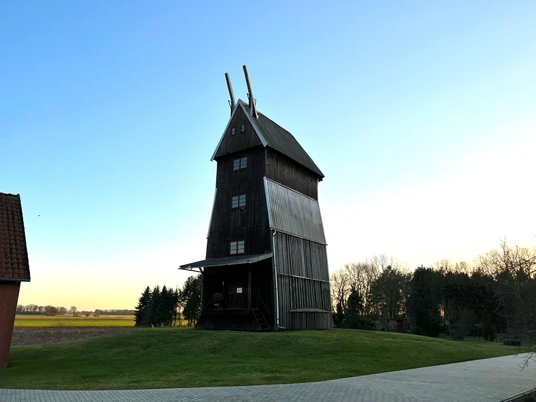 Historische Windmühle Rodewald mit hölzerner Fassade vor blauem Himmel und umgeben von Bäumen.