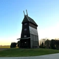 Windmühle Rodewald Historische Windmühle Rodewald mit hölzerner Fassade vor blauem Himmel und umgeben von Bäumen.
