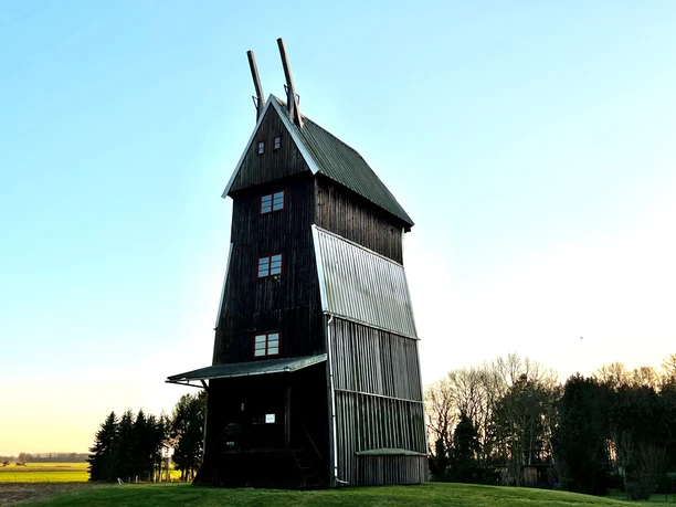 Windmühle Rodewald Historische schwarze Windmühle mit markanten weißen Flügeln steht in ländlicher Umgebung, umgeben von Bäumen.