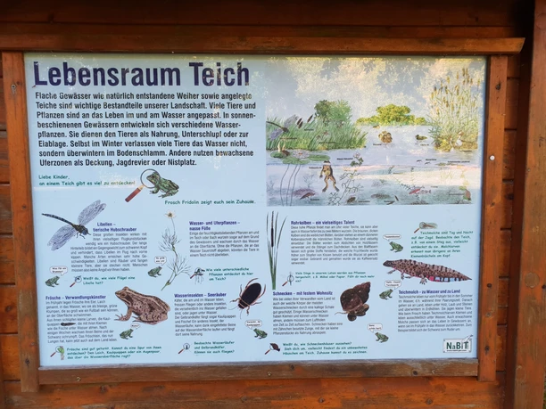 Infotafel "Lebensraum Teich"