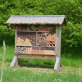 Insektenhotel auf dem BUND-Waldhaus-Gelände Altenhagen bei Salzgitter-Lichtenberg