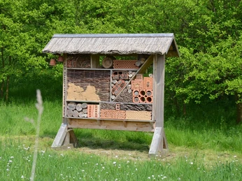 Insektenhotel auf dem BUND-Waldhaus-Gelände Altenhagen bei Salzgitter-Lichtenberg