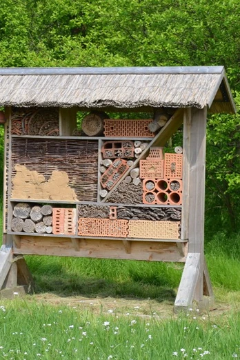 Insektenhotel auf dem BUND-Waldhaus-Gelände Altenhagen bei Salzgitter-Lichtenberg