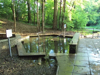 Wassertretbecken Plüneckenbrunnen in Salzgitter-Bad Steinernes Wassertretbecken im Wald mit Metallgeländer im Wasser und gepflastertem Rand.
