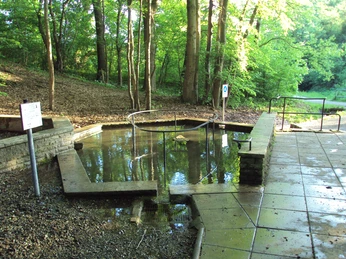 Wassertretbecken Plüneckenbrunnen in Salzgitter-Bad