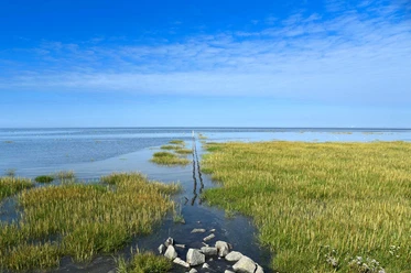 Trischendamm Friedrichskoog Trischendamm Friedrichskoog