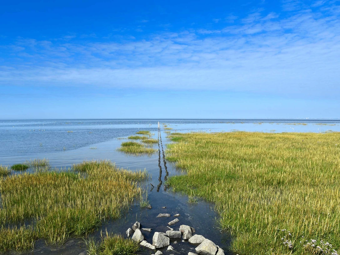 Trischendamm Friedrichskoog Trischendamm Friedrichskoog