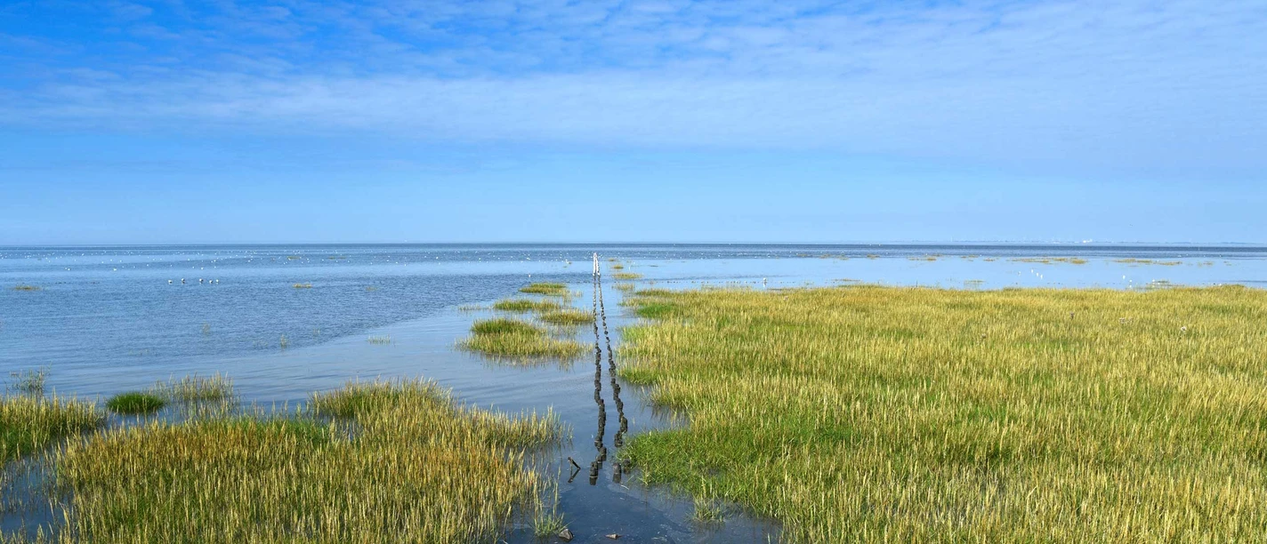 Trischendamm Friedrichskoog Trischendamm Friedrichskoog