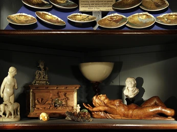 Naturalienkabinett Waldenburg - Wunderkammer