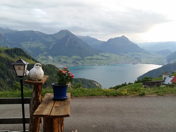 Restaurant Hinterbergen View from the Hinterbergen restaurant