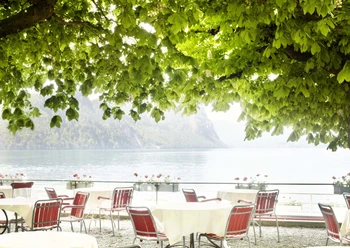 Terrasse-Gartenrestaurant-Vitznau-5.jpg