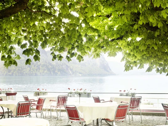 Terrasse-Gartenrestaurant-Vitznau-5.jpg