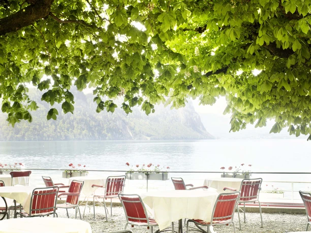 Terrasse-Gartenrestaurant-Vitznau-5.jpg