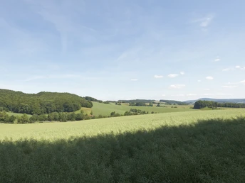 Landschaft bei Sternberg CC BY-SA - LTM.jpg