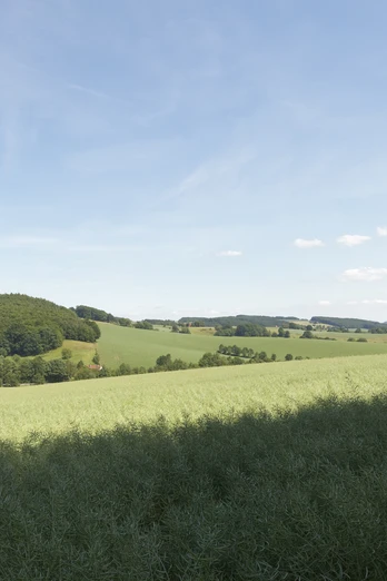 Landschaft bei Sternberg CC BY-SA - LTM.jpg
