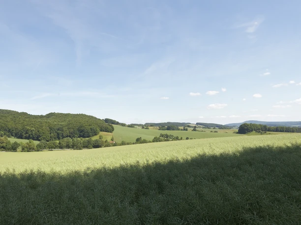 Landschaft bei Sternberg CC BY-SA - LTM.jpg