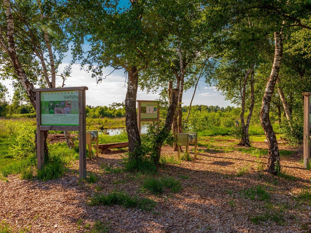Moorerlebnispfad Diepholzer Moor