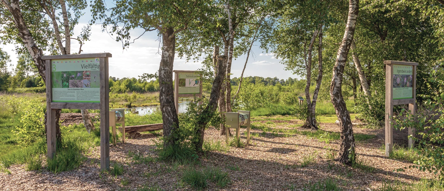 Moorerlebnispfad Diepholzer Moor