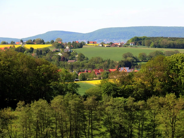 Almenaer Berg CC BA-SA - Marketing Extertal.jpg