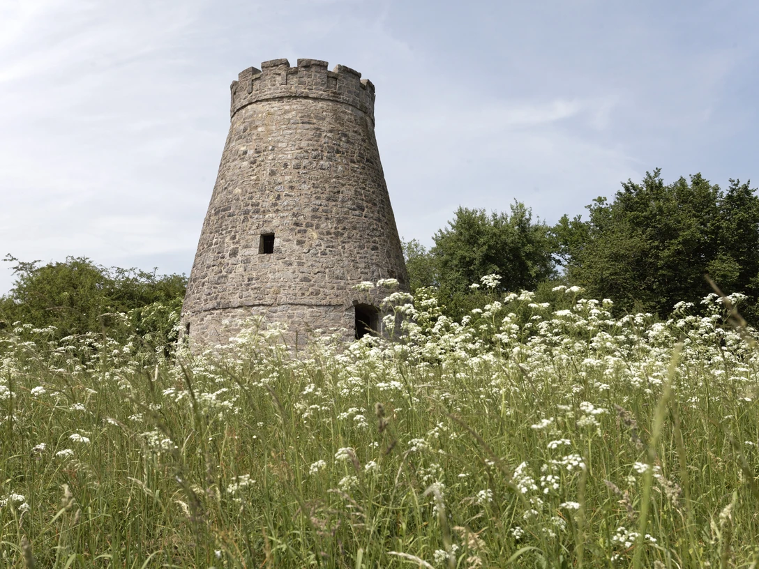 Widmühlenstumpf CC BY-SA - LTM.jpg