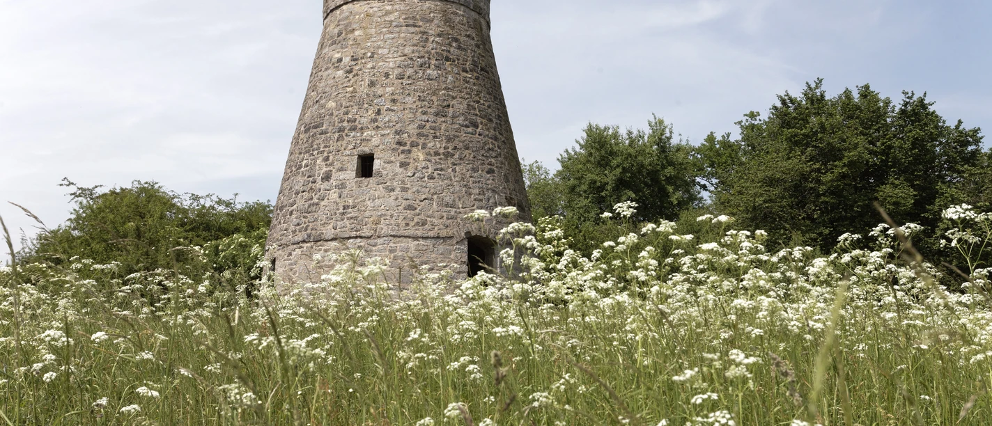 Widmühlenstumpf CC BY-SA - LTM.jpg