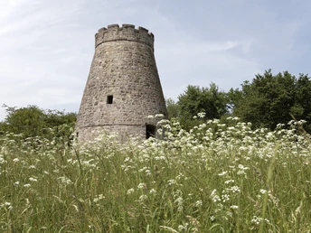 Widmühlenstumpf CC BY-SA - LTM.jpg