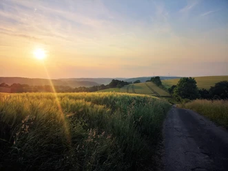 Sonnenuntergang bei Bosseborn Sonnenstrahlen über einem Feldweg und Feldern bei Bosseborn, während die Sonne am Horizont untergeht.