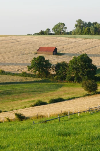 Weiden und Felder bei Bosseborn Weite Felder und Wiesen erstrecken sich über sanfte Hügel mit einem einzelnen, roten Scheunengebäude.