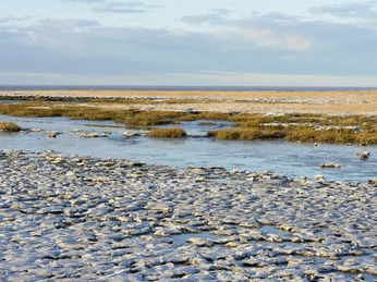 Cappel Neufeld Steg Watt Winter Salzwiese Schnee (29).jpg