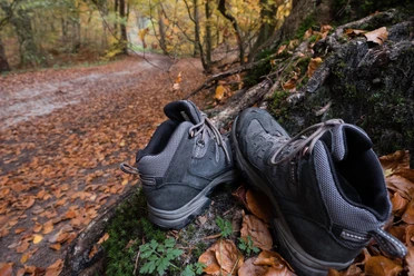 Wanderstiefel ruhen auf moosbedecktem Baumstumpf, umgeben von Herbstlaub auf einem Waldweg.
