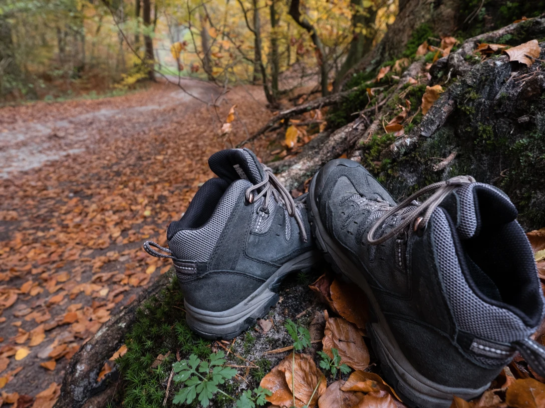 Wanderstiefel ruhen auf moosbedecktem Baumstumpf, umgeben von Herbstlaub auf einem Waldweg.