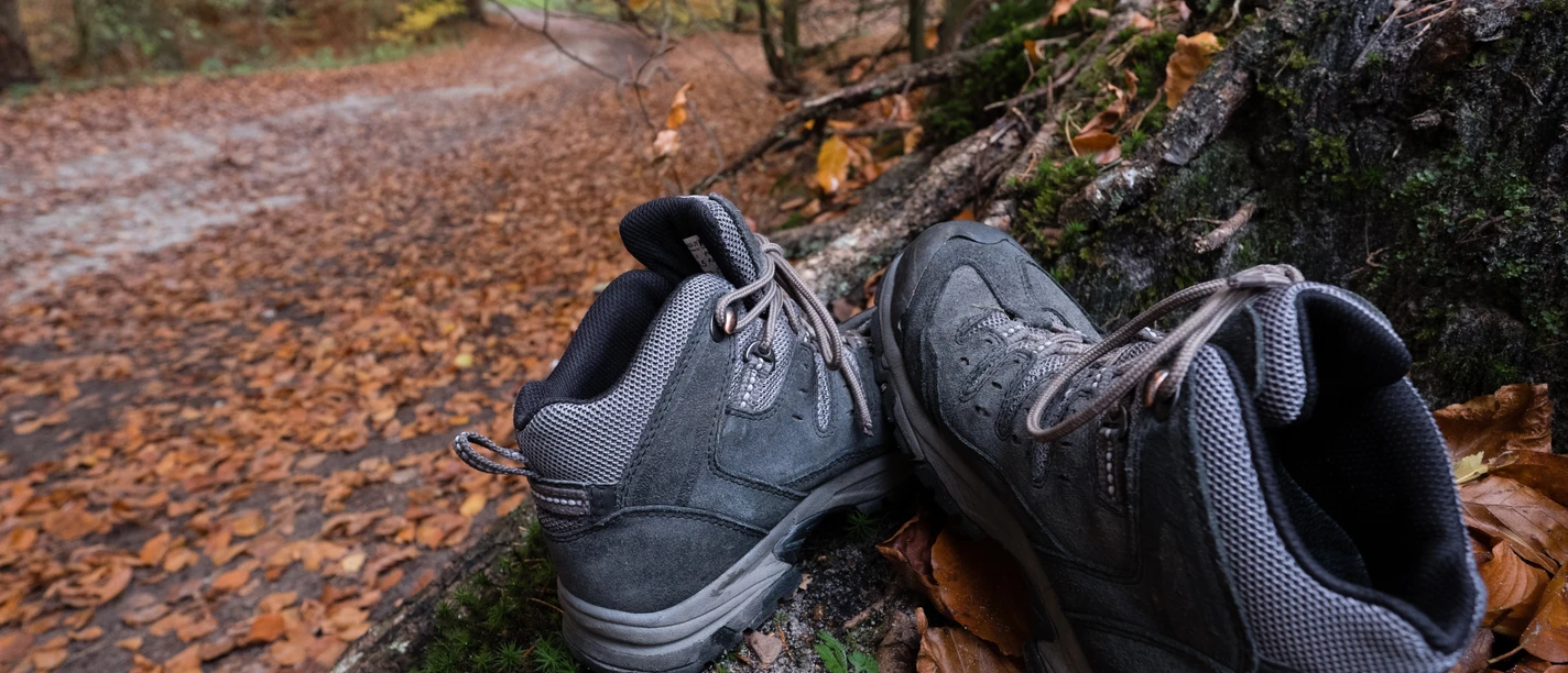 Teutoburger_Wald_Detmold_B.Fromberger_Detailaufnahme_Wandern_CCBYSA (21).jpg Wanderstiefel ruhen auf moosbedecktem Baumstumpf, umgeben von Herbstlaub auf einem Waldweg.